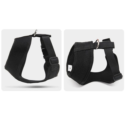 Harness Anjing & Kucing – Nyaman, Anti-Tarik, dan Aman dari Pet123
