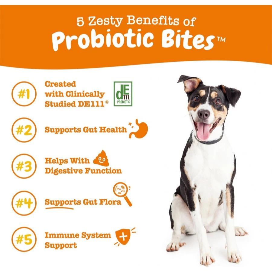 Zesty Paws Probiotic for Dogs – Digestive Gut & Bowel Health 360gr Chicken Flavor