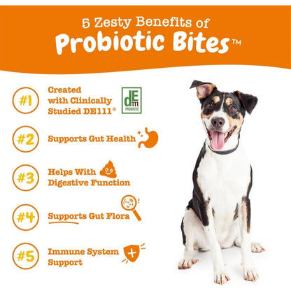 Zesty Paws Probiotic for Dogs – Digestive Gut & Bowel Health 360gr Chicken Flavor
