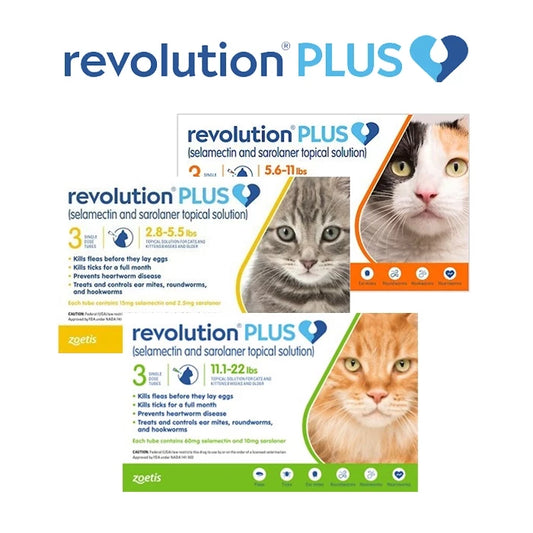 Obat Kutu Kucing Tetes 7-in-1 Perlindungan Lengkap – Revolution Cat Plus