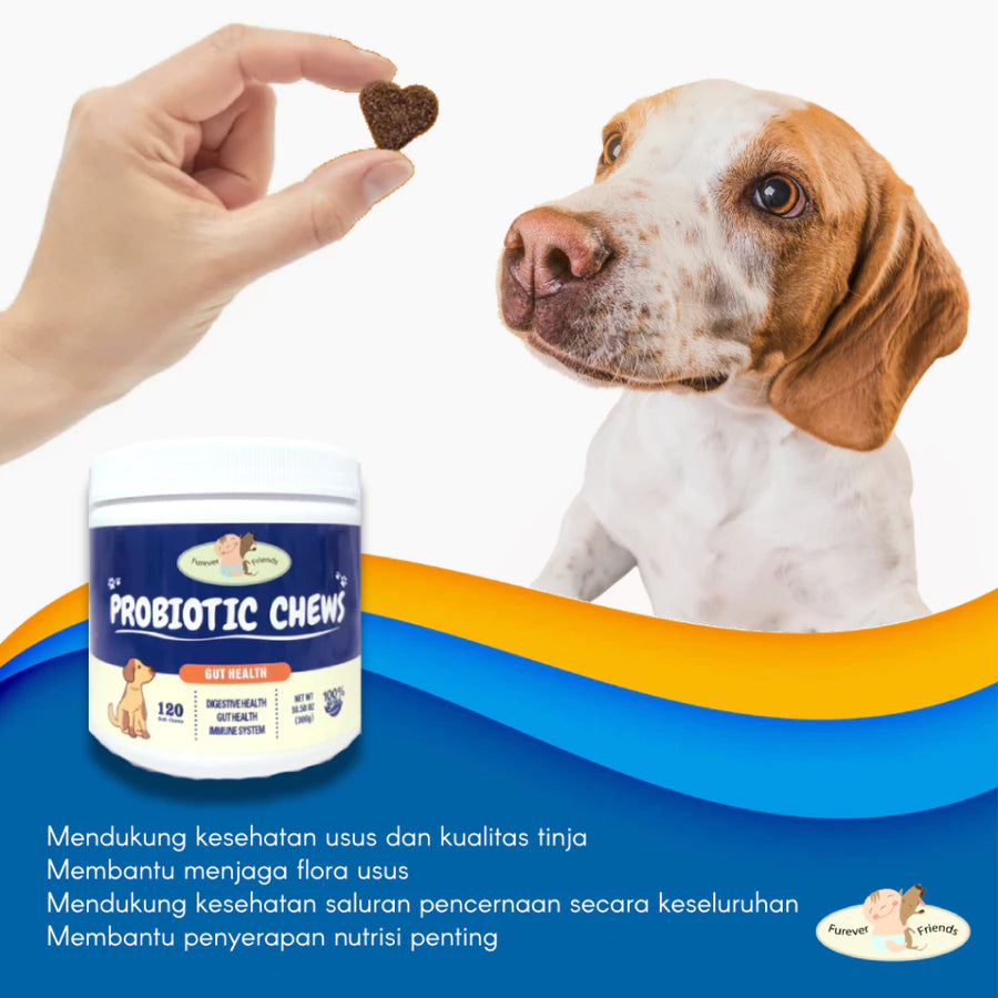Probiotic Chews for Dogs – Vitamin Pencernaan & Digestive Health Anjing – Made in USA