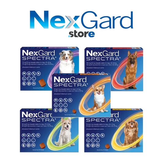 NexGard Dog Obat Kutu Anjing Demodex dan Obat Cacing